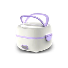Electric Lunch Box Portable Food Warmer Food Heating Lunch Box Removable Food-Grade Stainless Steel Compartments, 220V 200W, for Car, Truck, office