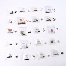 Rainbow Bloom Seed Set
